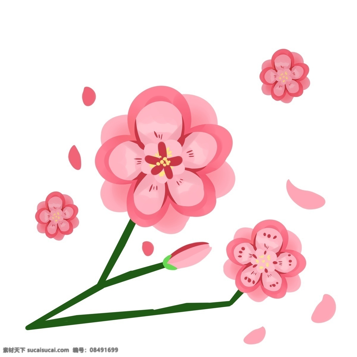 漂亮 樱花 花苞 花朵 黄色花蕊 粉色花瓣 春天花朵 粉嘟嘟的樱花 唯美樱花插图 花