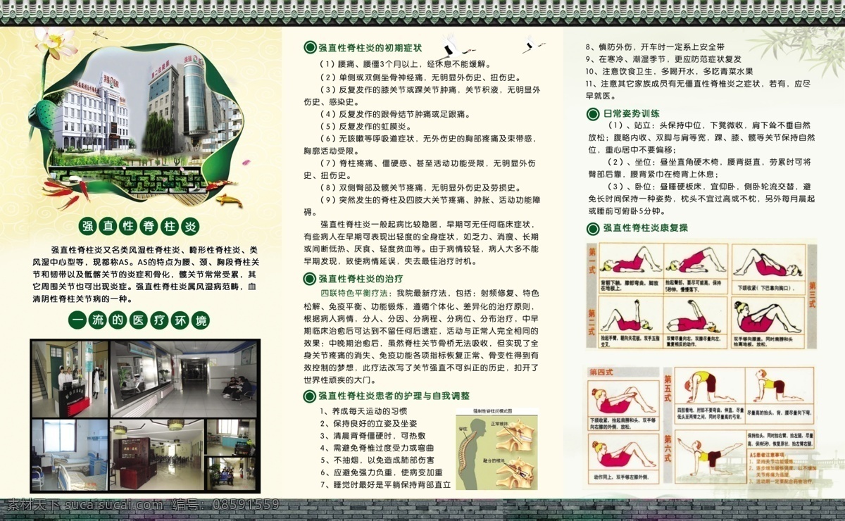 强直性 脊柱炎 三 折页 三折页 强直性脊柱炎 医院三折页 病种手册 疾病预防手册 荷花 鱼 砖墙 古城墙 画册设计 广告设计模板 源文件