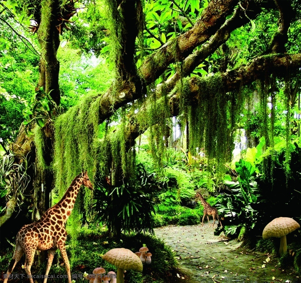 阳光树林 树林黄昏 森林阳光 森林黄昏 树林背景 树林小路 林荫道 林荫小路 树林光影 树林 森林 森林公园 榕树林 冬日暖阳 树林光线