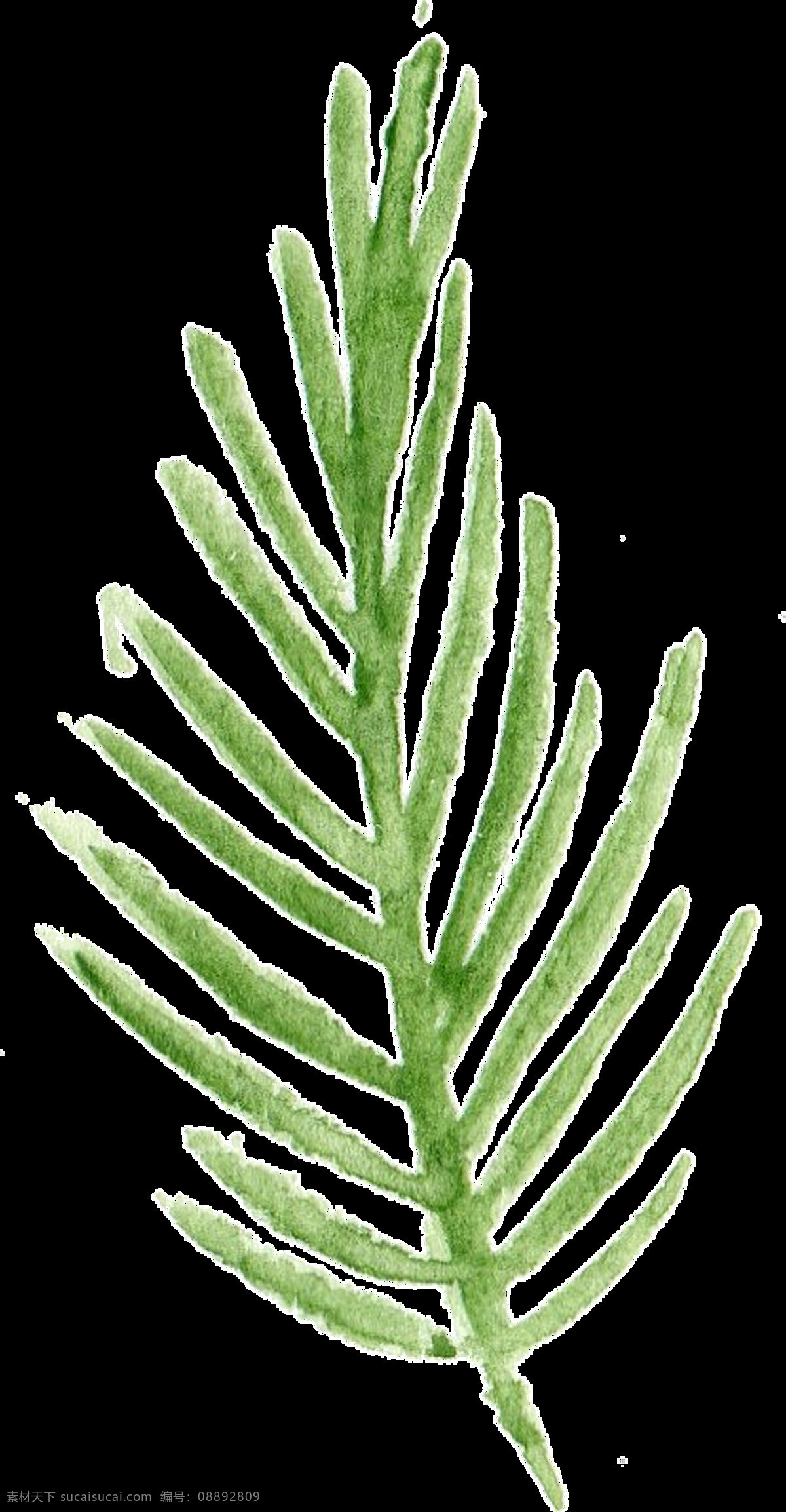 绿 叉 树叶 卡通 透明 分叉 海草 透明素材 免扣素材 装饰图案