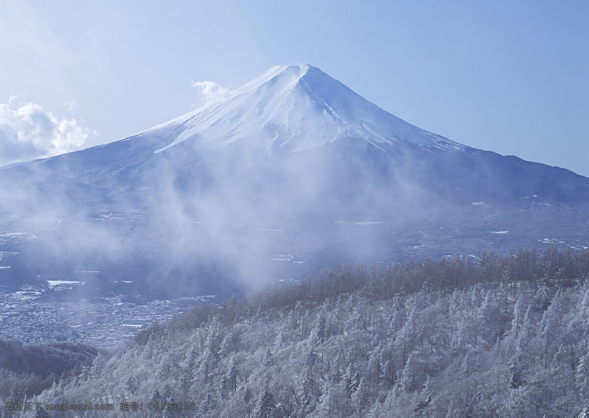 美丽 日本 富士山 雪山 旅游 国外旅游 37樱花