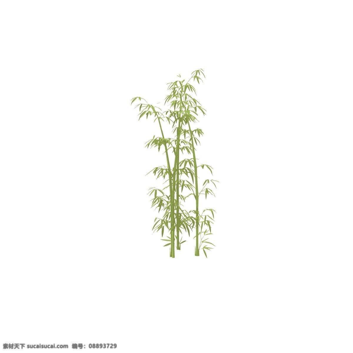 富贵竹 富贵竹素材 富贵竹元素 富贵竹背景 富贵竹底纹 富贵竹图案 富贵竹图片 竹子素材 竹子元素 竹子背景 竹子底纹 竹子图案 竹子图片 竹 竹素材 竹元素 竹背景 竹底纹 竹图案 竹图片 竹报平安 梅兰竹菊 梅兰竹菊素材 兰花 兰花素材 兰花图案 兰花元素 君子兰 君子兰素材 兰花盆栽