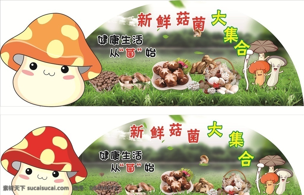 菇菌 食用菌海报 青头菌 猴头菌 羊肚菌 重阳菌 牛肝菌 鸡枞菌 老人头菌 竹荪 松茸菌 虎掌菌 黑松露 姬松茸菌 鸡油菌 野生菌 绿色背景 食用菌广告 特卖广告 菌菇素材 新鲜商品 超市宣传 促销特卖 蘑菇 商品 绿色 食用菌好处 理由