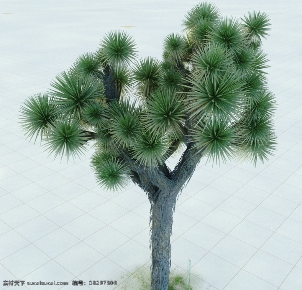 约书亚树 布来利弗利 植物 景观植物 盆栽 vray模型 景观模型 园林植物 室内模型 3d设计 max