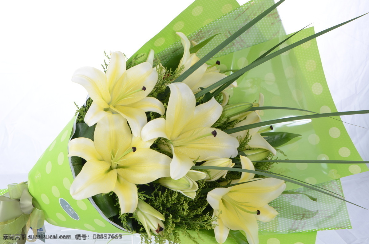 百合花束 鲜花 白色 浪漫 情人节 生物世界 花草