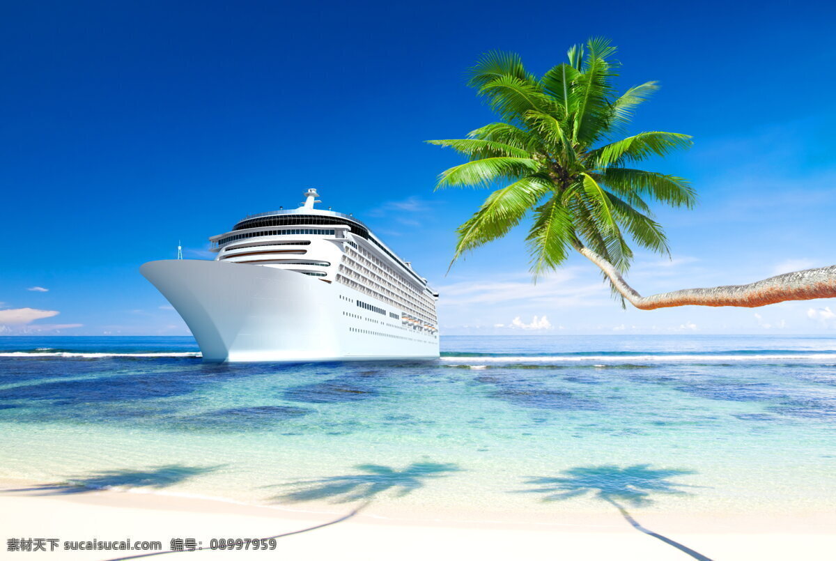 大海轮船 大海 轮船 游艇 海水 海边 海景 帆船 游船 椰子树 树木 绿树 热带海边 蓝天 白云 天空 自然风光 交通工具 自然景观 自然风景
