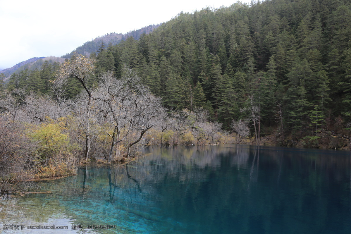 九寨沟风光 九寨沟旅游 四川旅游 四川风景 四川美景 山水 风光 阿坝州风景 旅游摄影 国内旅游
