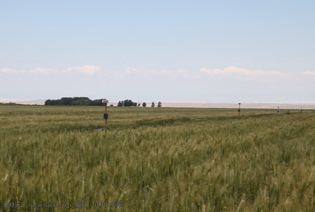 大片 西部 小麦 科技 节水 灌溉 高清 专题 农田水利 风光 实拍视频 多媒体 mov 灰色