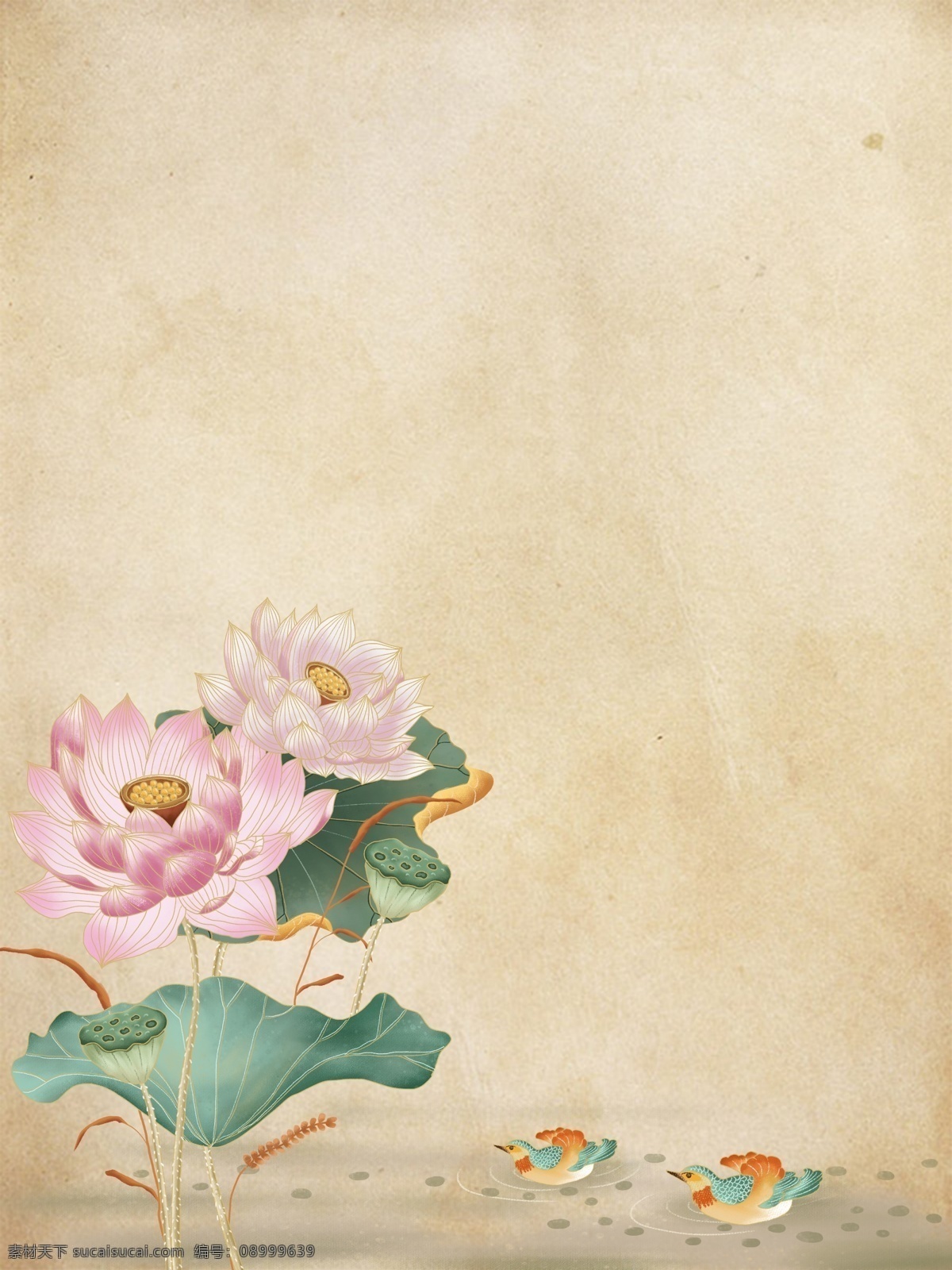 中国 风 传统 荷花 插画 背景 中国风背景 荷塘背景 赏荷花 荷花背景 夏天背景 夏季背景 赏花 荷叶