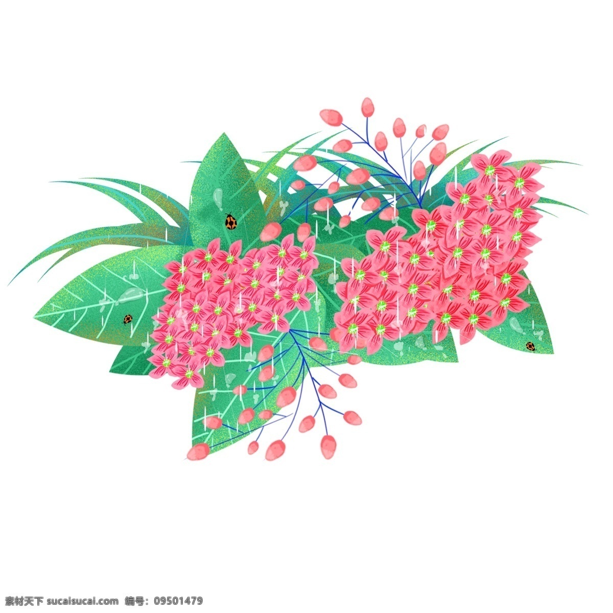春天 花草 元素 春天元素 花草元素 春天花草 花草植物 植物 春天元素设计