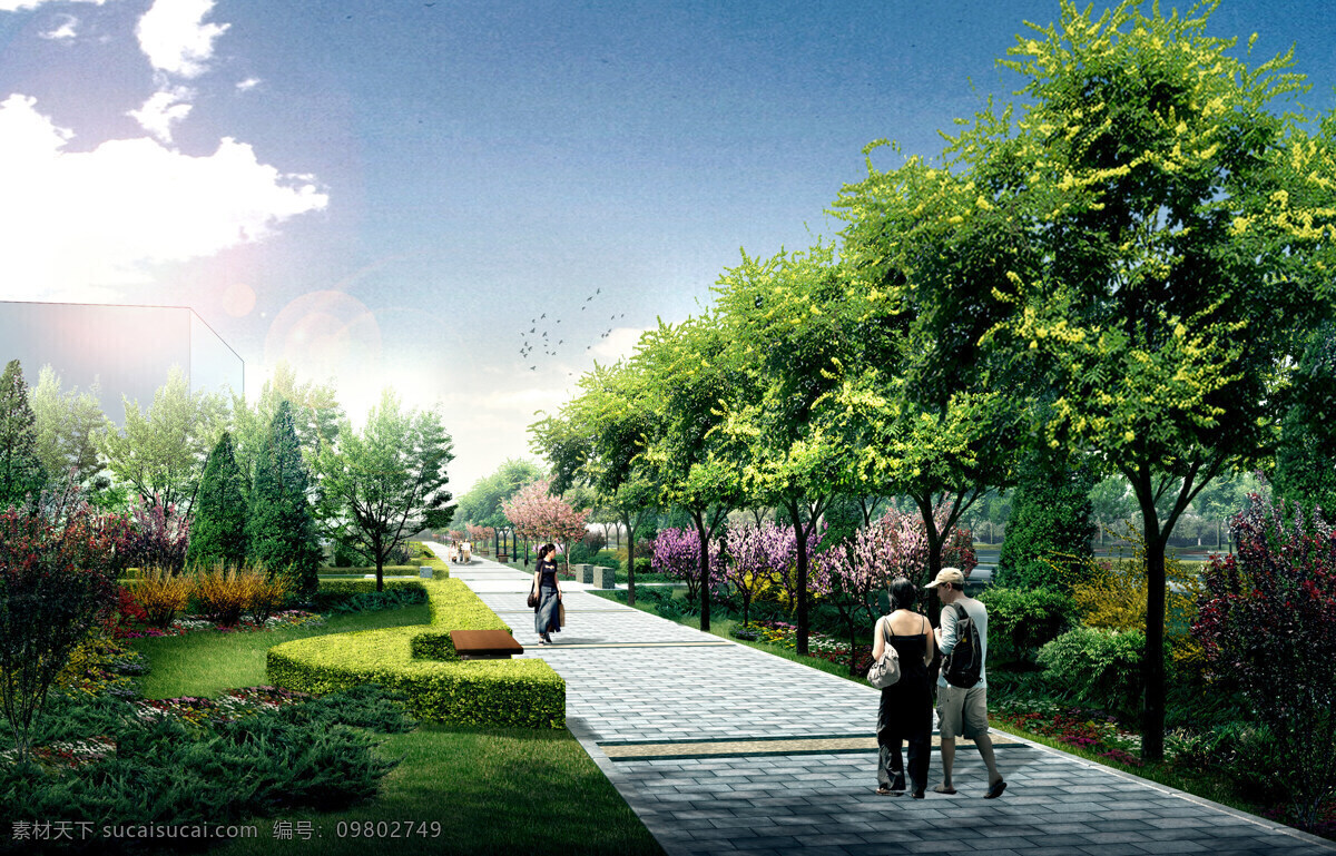 市政 人行道 道路 建筑园林 景观 绿化 园林 自然景观 装饰素材 园林景观设计