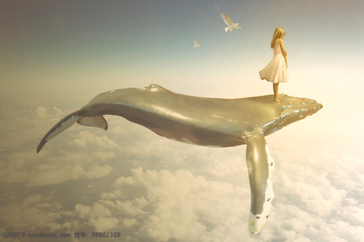 鲸鱼天空 鲸鱼 天空 女孩 蓝天 白云 太阳 鸽子 想象 梦幻 分层