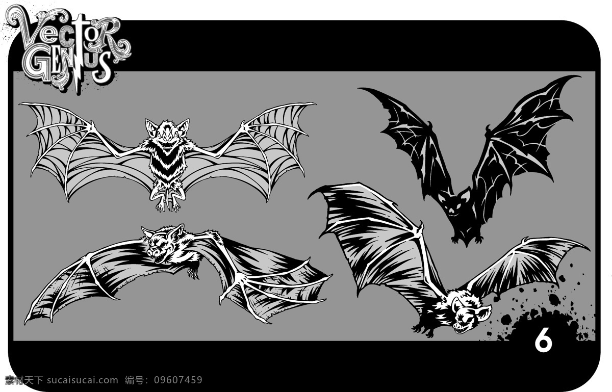 矢量 蝙蝠 翅膀 黑色 源文件 高清 免费素材 白色 图片图案 设计图案 下载素材
