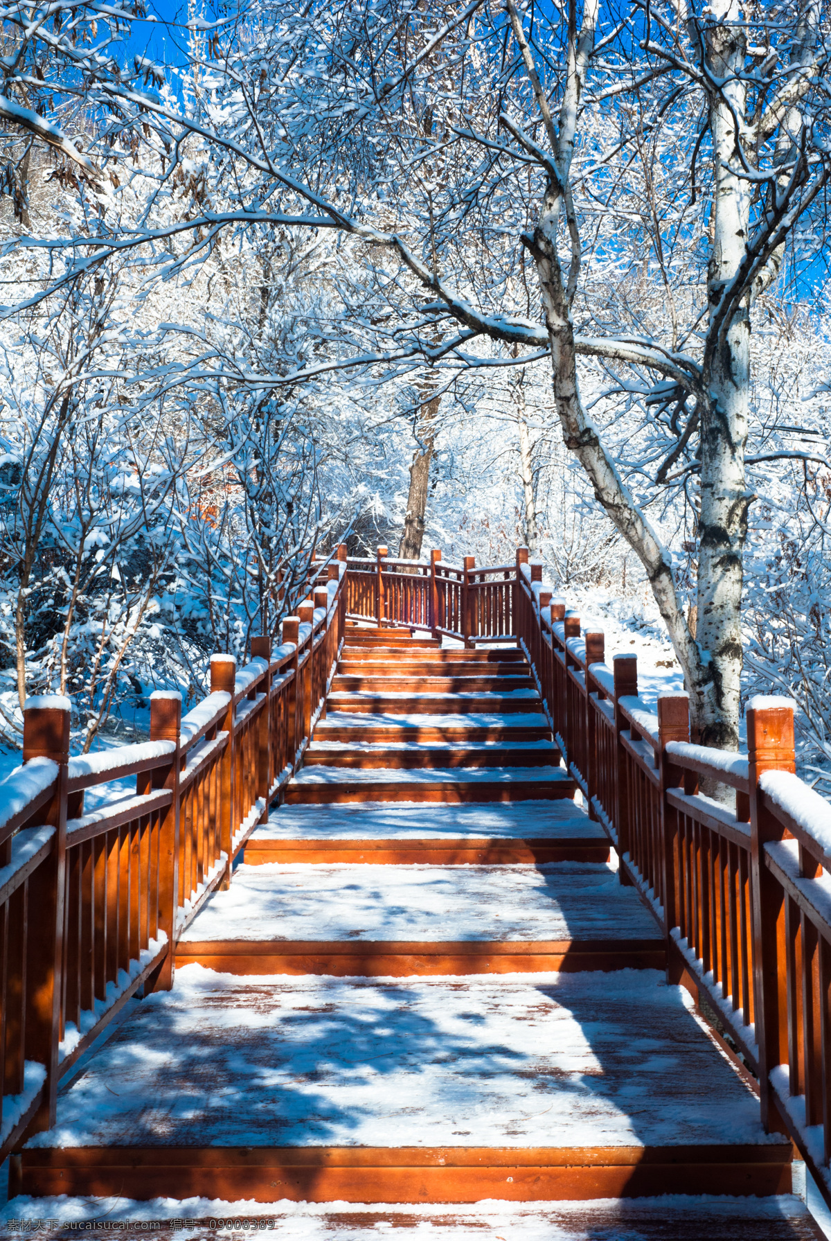 冬雪 冬季 登山 步道 台阶 森林 蓝天 雪景 自然景观 自然风景