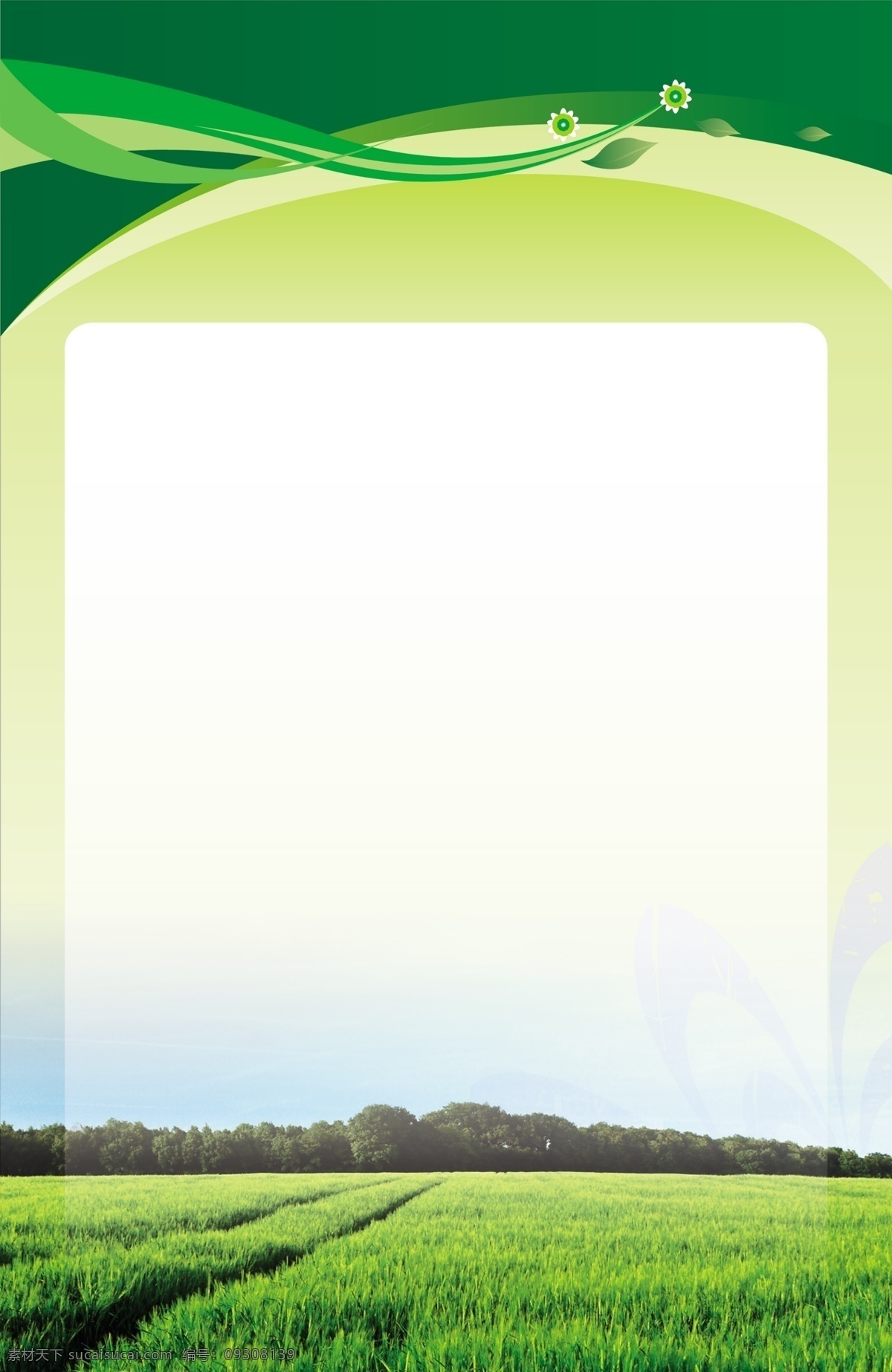 广告设计模板 花边背景 绿色背景 模板 源文件 展板模板 制度背景 制度 背景 模板下载 绿色麦地 其他展板设计