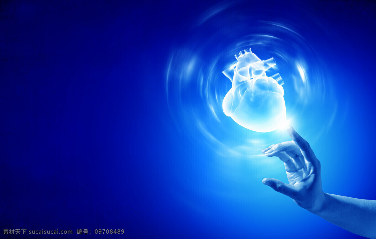 心脏 脏器 肺部 心血管 人体 人体器官 人器官图片 人物图库 其他人物