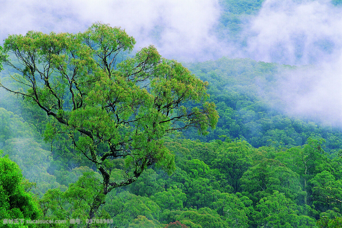 阳光 生态 植物 蓝天 山水 山水树木 自然景观风景 高清 自然景观 自然风景