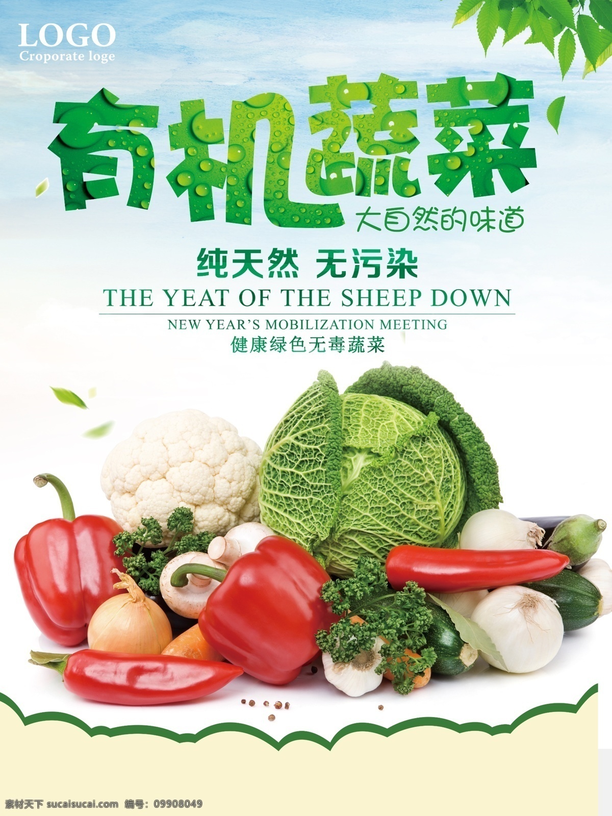 蔬菜水果 水果蔬菜 蔬菜海报 蔬菜广告 蔬菜背景 卡通蔬菜 蔬菜图片 有机蔬菜 绿色蔬菜 蔬菜名片 新鲜蔬菜 蔬菜 健康食品 菜 海报 海报素材 绿色素材 分层