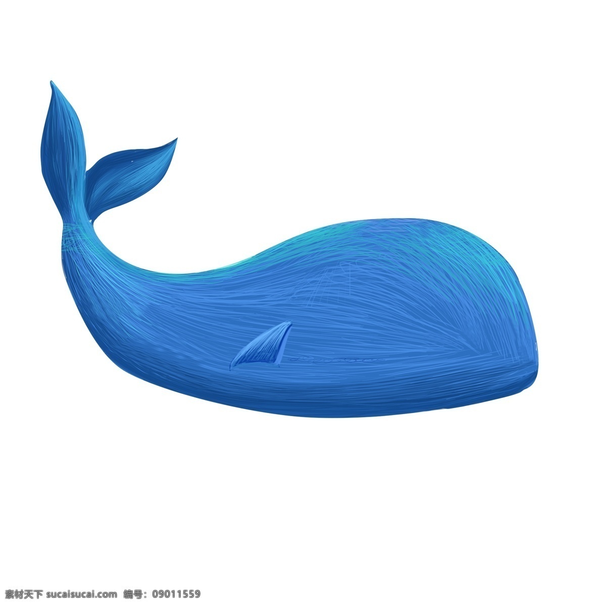 鲸鱼 鲨鱼 海豚 线圈 画 扁平 渐变 蓝色 小清新 插画 线圈画 扁平风 渐变风 海底动物 线圈印象