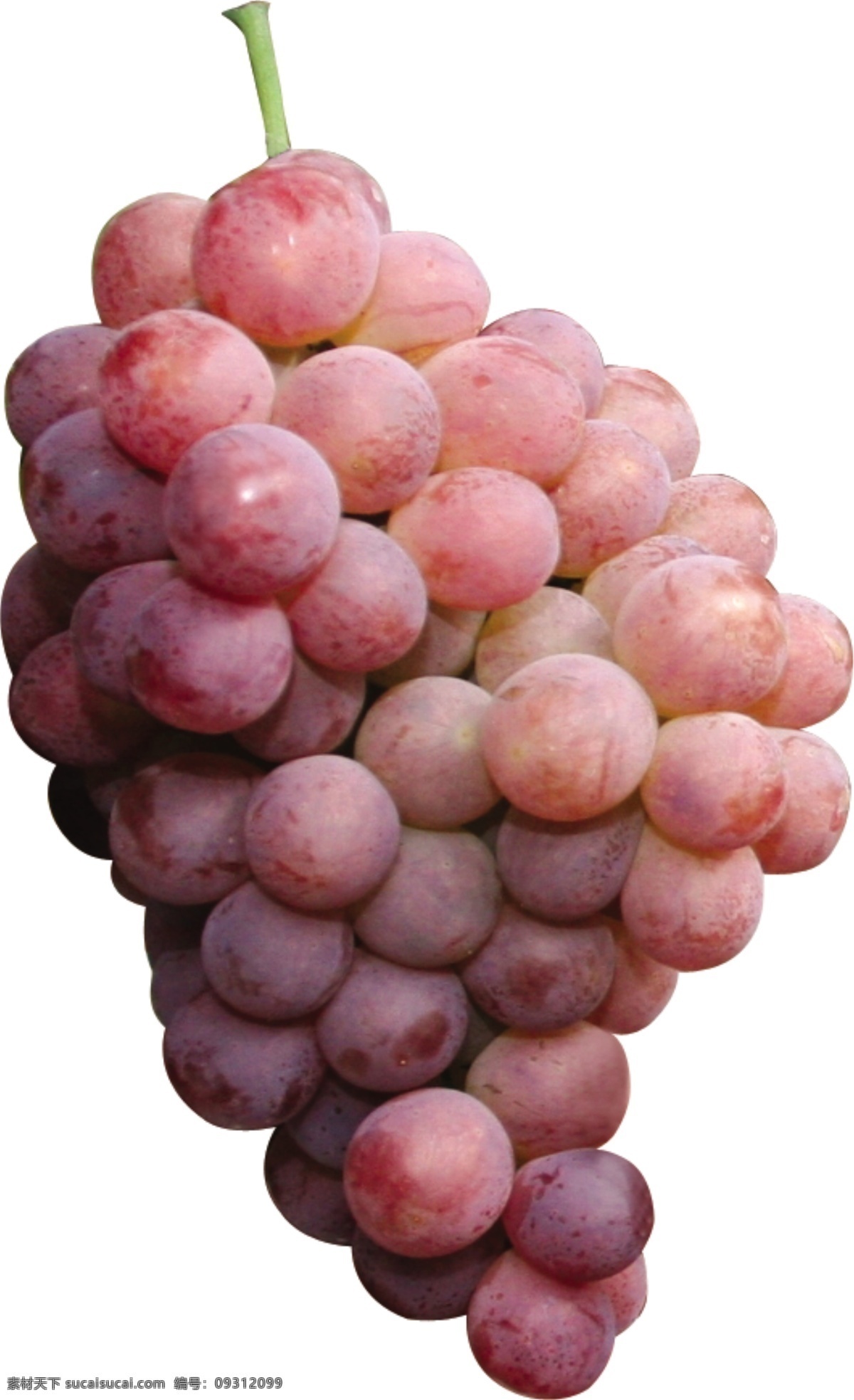 葡萄 水果 紫葡萄 巨峰葡萄 巨峰 源文件
