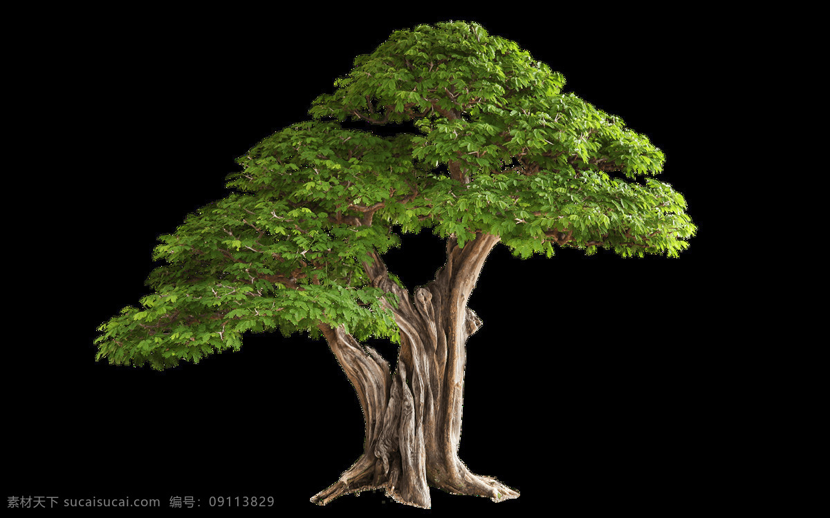 绿色 大树 免 抠 透明 图 层 绿色大树图片 环境设计素材 景观设计素材 室外设计素材 效果图元素 树丛素材 淘宝免抠素材 绿色大树 大树插图 绿树插图 手绘大树