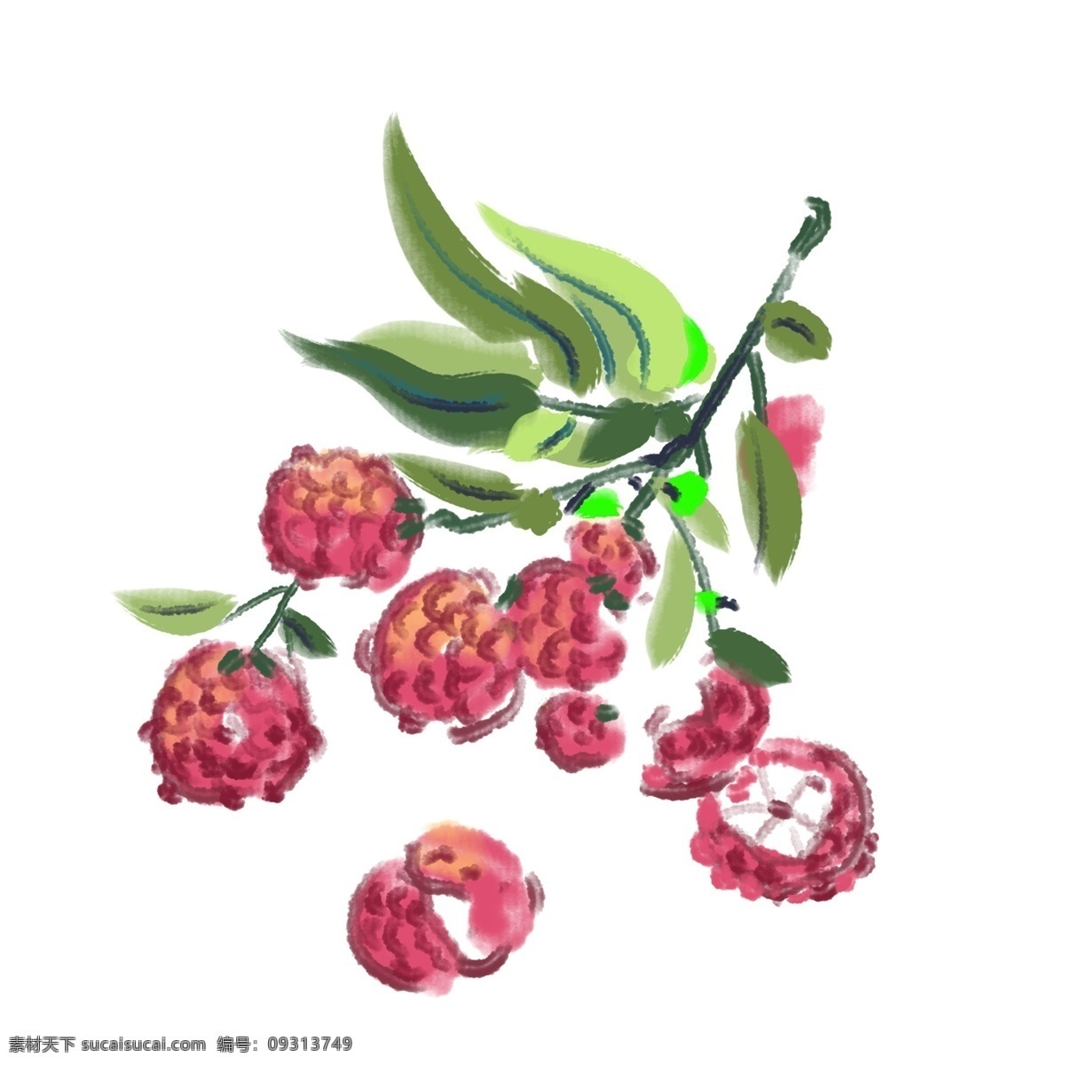 红色 新鲜 手绘 荔枝 红色的荔枝 绿色的树叶 水墨荔枝插画 荔枝树枝 黑色的树枝 手绘荔枝 卡通荔枝