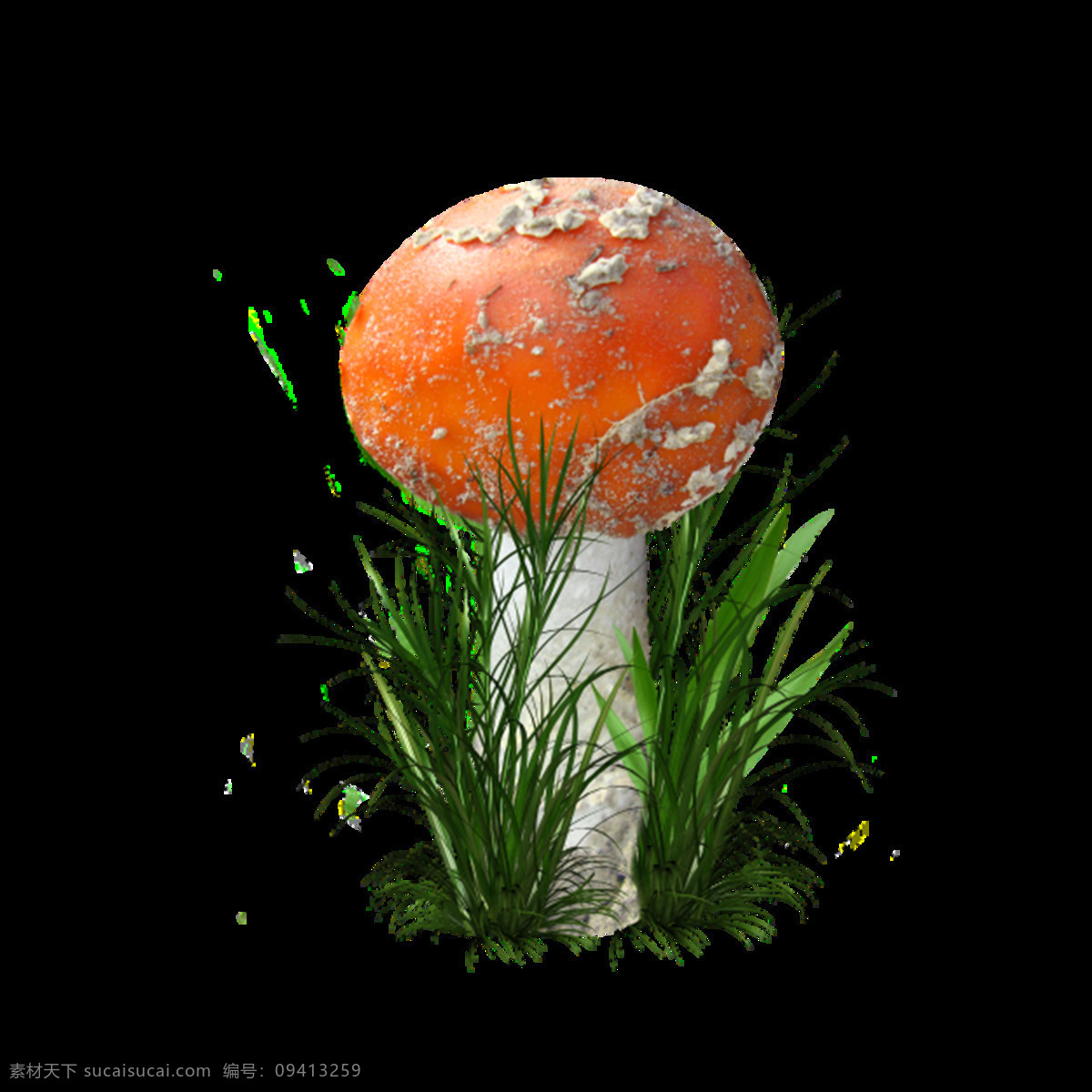 蘑菇 透明 元素 植物 森林 小草 益生菌 菌类