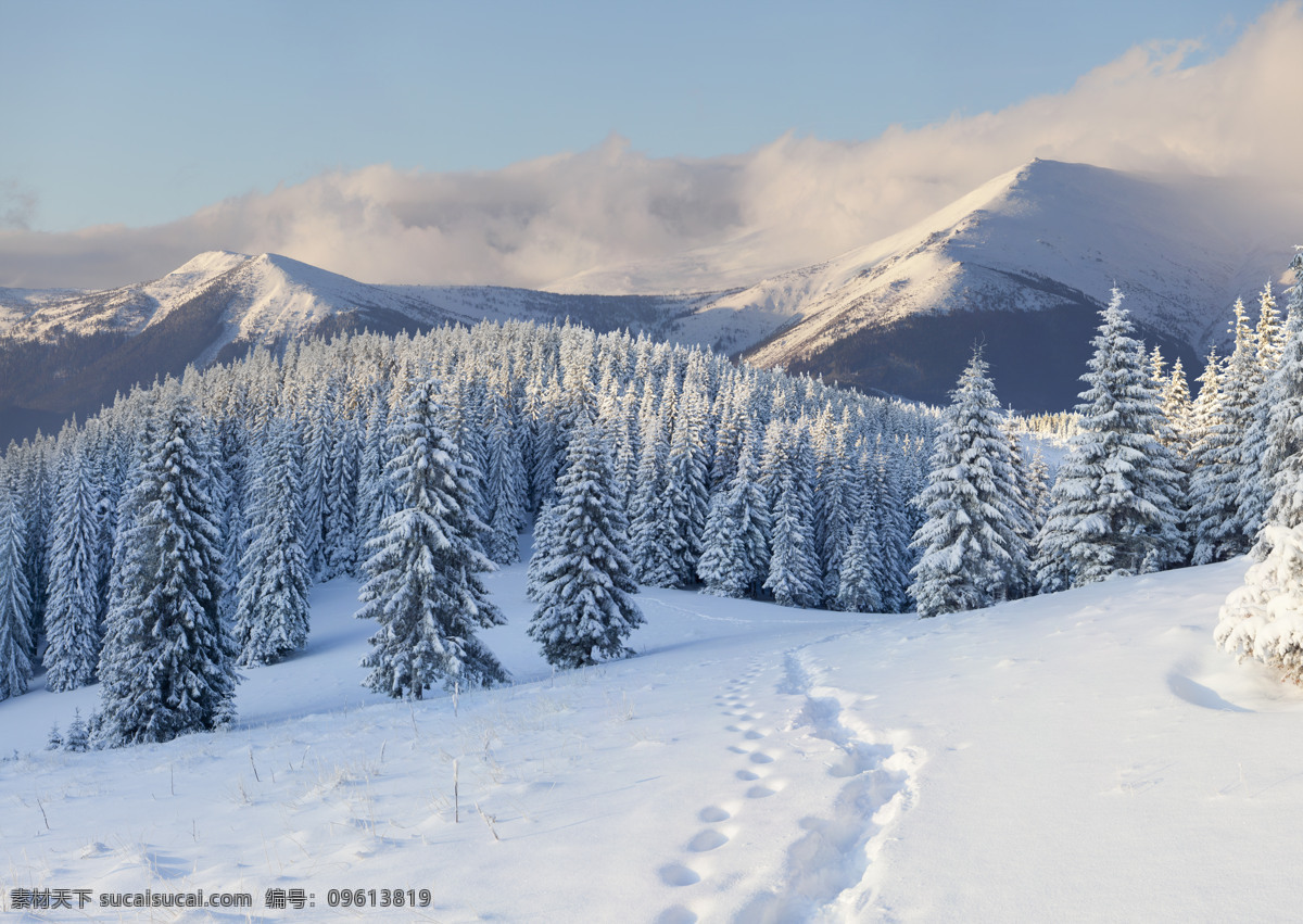 雪山 风景 森林 雪景 雪山风景 雪地上的脚印 森林雪景 美丽冬天雪景 冬季雪景 树林雪景 雪地 冬天树林风景 自然风景 自然景观 灰色