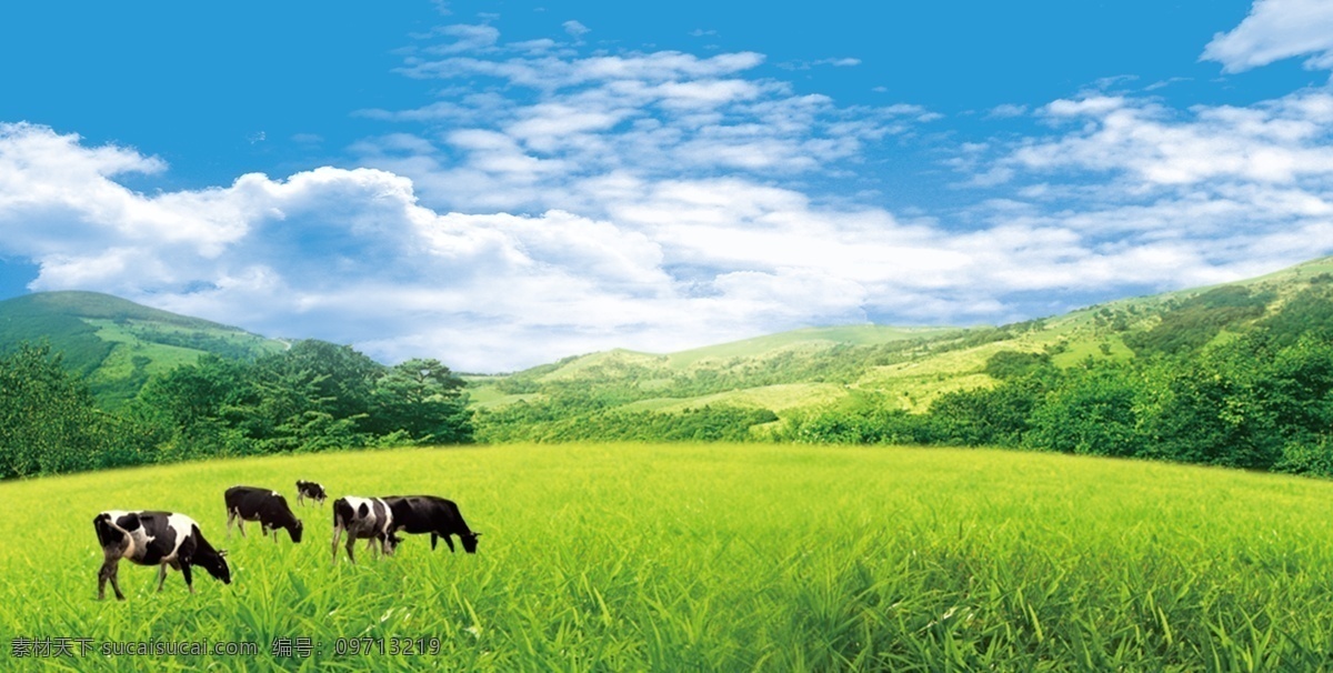 蓝天白云草地 草地 草原 蓝天 白云 背景 草原背景 蓝天白云 绿草地 高清 绿草 草地背景 蓝天草地背景 绿色草地 草地蓝天 绿草地背景 草地天空 高清草地 天空草地 草地风景 草坪 绿地 天空 蓝天背景 小花 白花 野花 风景 美景 牛 大自然 简约 唯美 清新 绿色 绿叶 树叶 山 山峰