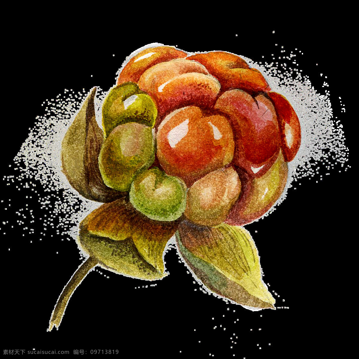 免 扣 菠萝 草莓 插画 黄色 橘色 橘子 卡通 绿色 蔓越莓 手账素材 淘宝 水彩 逼真 水果 合集 情感西红柿 透明素材 装饰图案