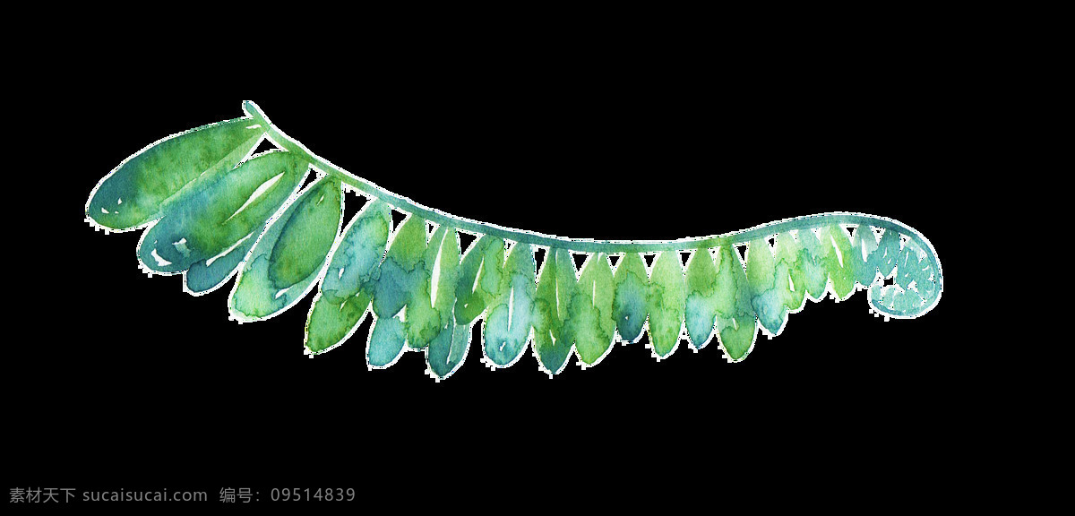 碧绿 花柳 卡通 透明 装饰 花叶 树叶 透明素材 免扣素材 装饰图案