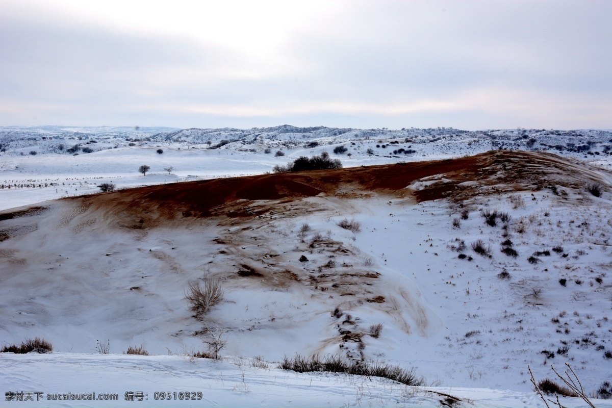 雪后的山坡 大雪 山坡 积雪 结冰 枯草 荒凉 内蒙古 克什克腾旗 山川风景 自然景观 自然风景