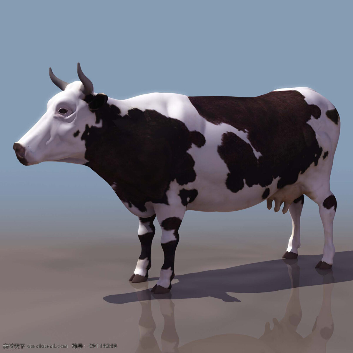 3d 奶牛 模型 3d模型 效果图 黑白 3d渲染 模型素材