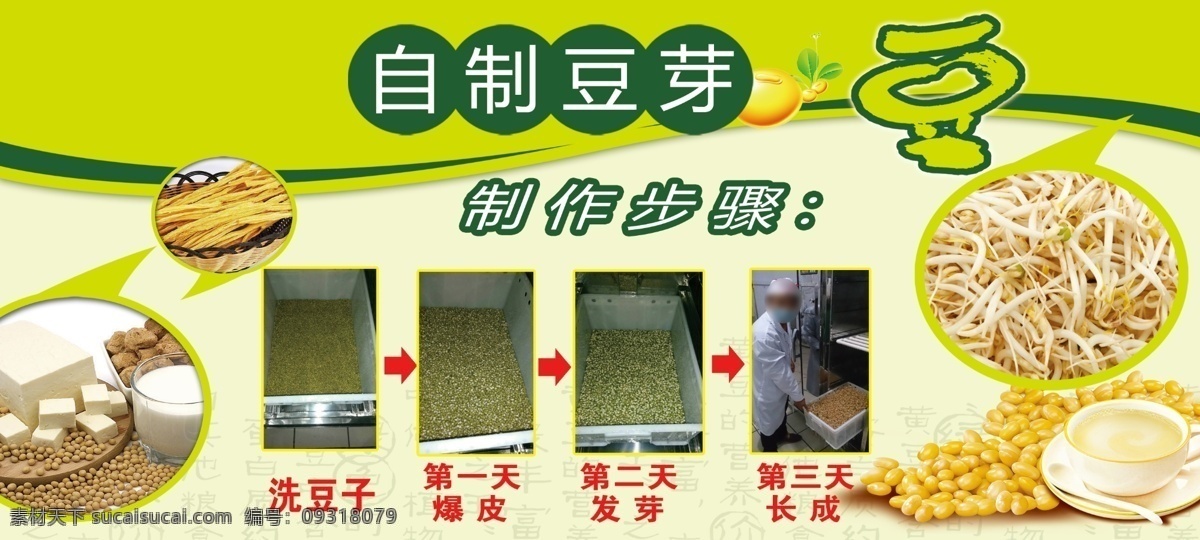 豆芽生长 自制豆芽 制作步骤 图解 美味 黄豆