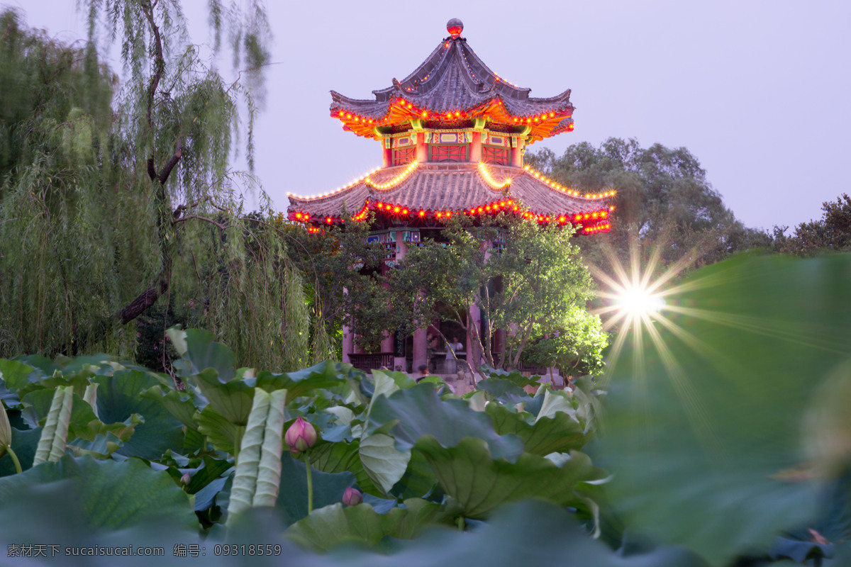 大明湖 济南 亭子 荷花 夜晚 旖旎 旅游摄影 国内旅游