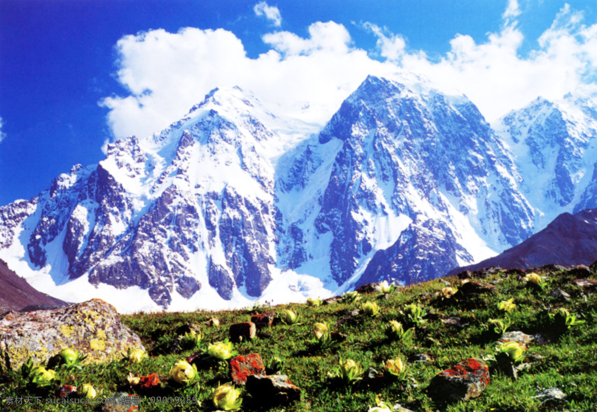 新疆图 新疆 天山 博格达峰 bogda peak in tianshan mountainsxinjiang 摄影图库 自然景观 自然风景