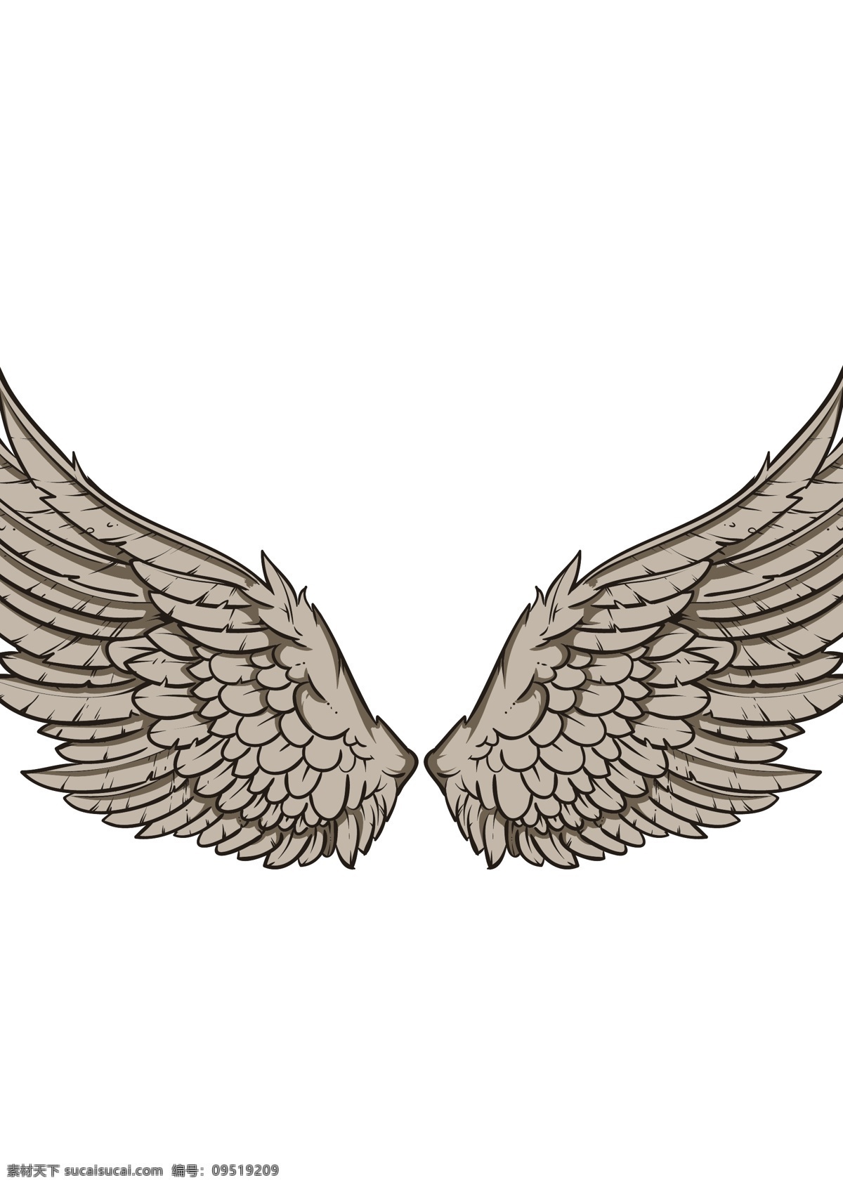 翅膀 羽毛 天使翅膀 翅膀设计 翅膀素材 鸟类翅膀 纹身图案 手绘 矢量 白色