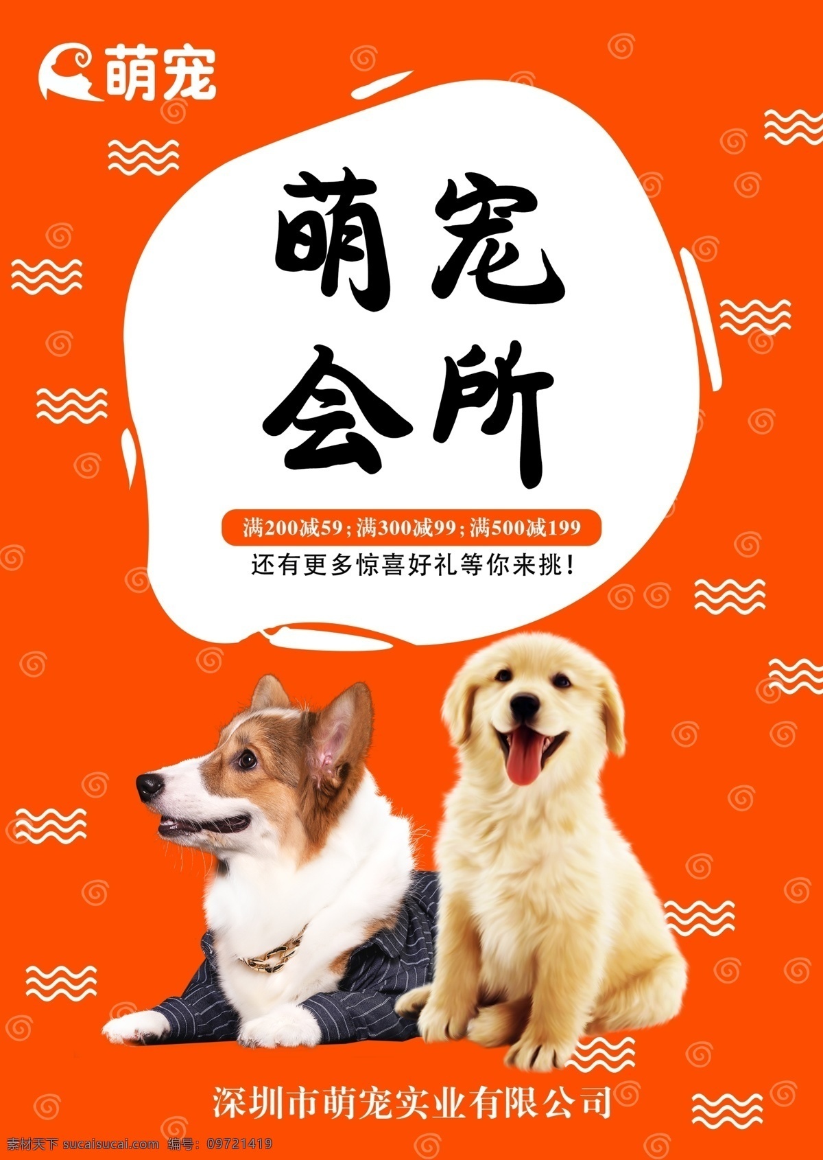 宠物宣传单 宠物 宣传单 橙色 单页 海报