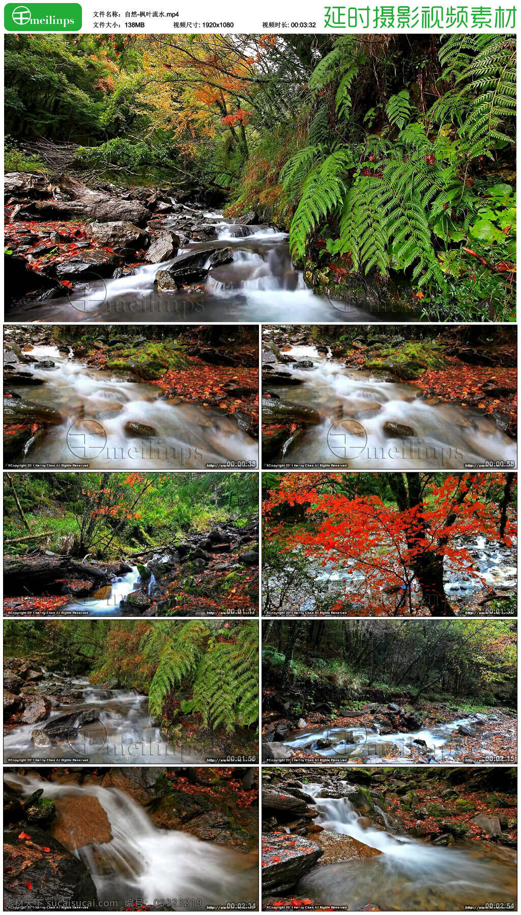自然枫叶流水 延时摄影 自然 风景 小溪 溪水 树林 枫叶 红叶 mp4 黑色