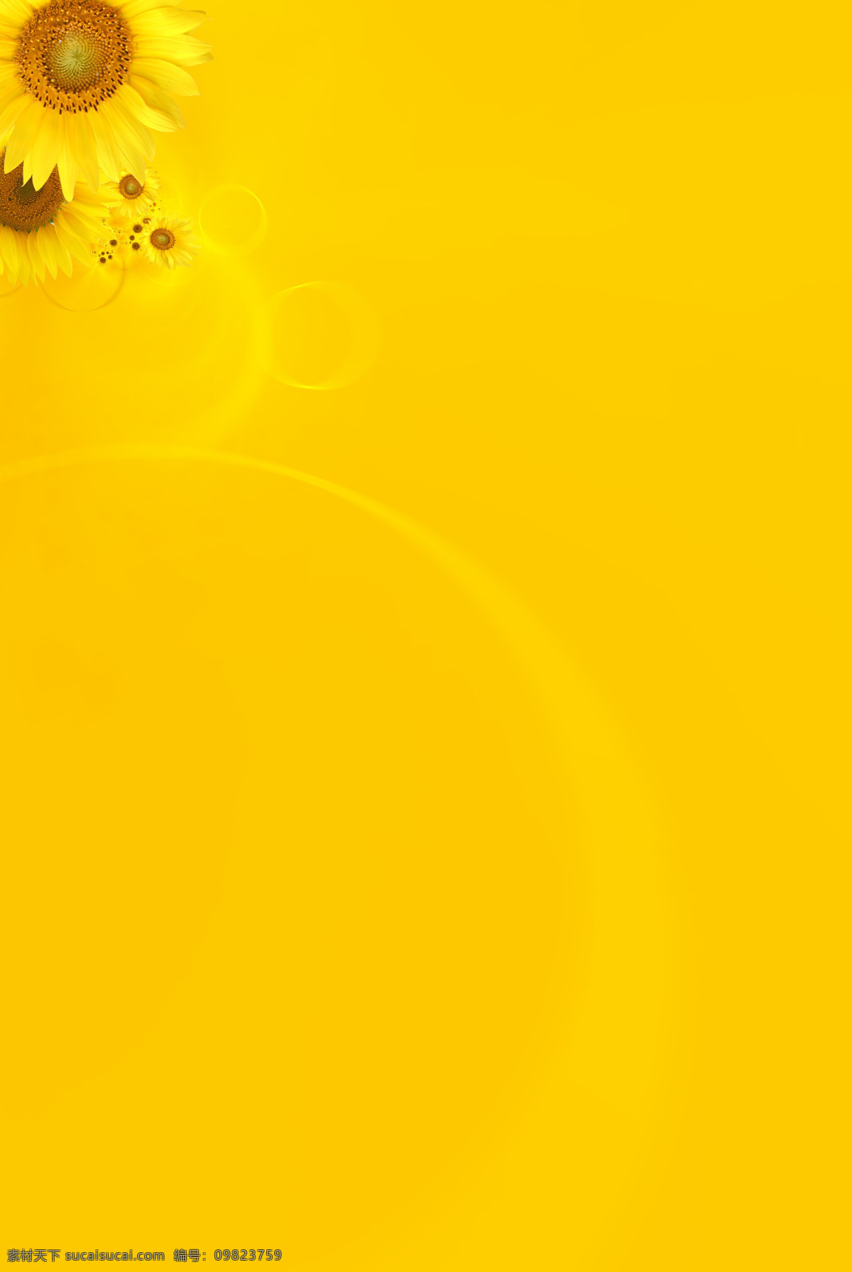 向日葵 黄色 背景 向阳花 黄色背景 黄色底图 底纹 信纸 设计类 背景底纹 底纹边框