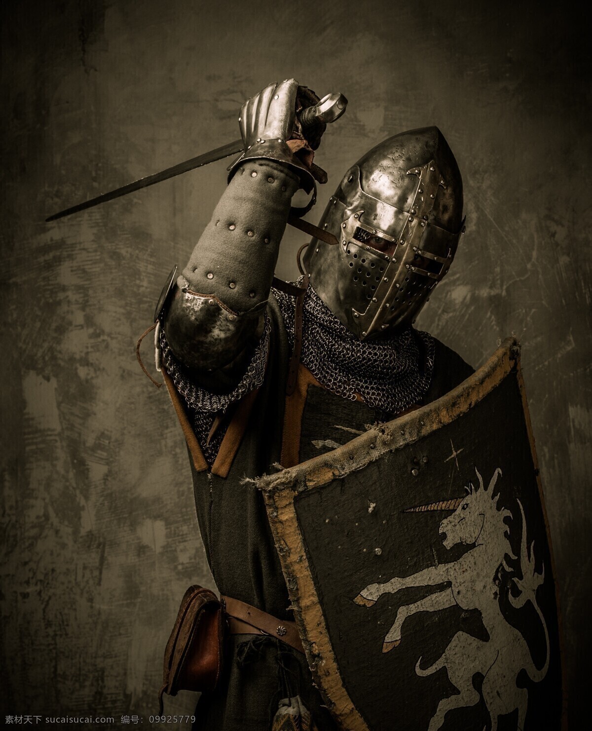 骑士 盔甲 古代骑士 皇家骑士 皇家战士 武士 战士 士兵 欧洲骑士 骑士团 外国骑士 古代战士 外国战士 中世纪骑士 文化艺术 传统文化