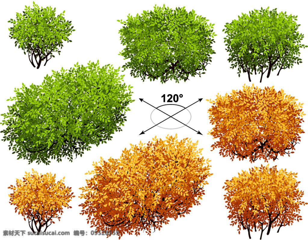 平面 树 矢量 树矢量素材 平面植物 大树 绿色植物 秋季植物 草丛 白色