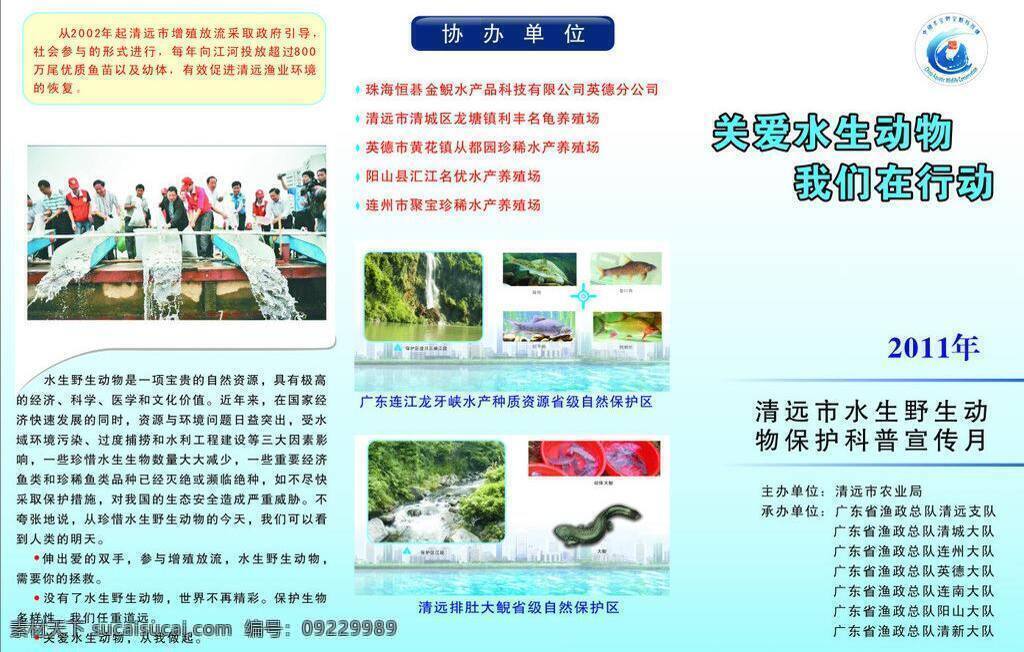 版式设计 龟 模版素材 排版 其他设计 三折页 水产 野生动物 广告 三 折页 鱼 鱼的介绍 鱼的种类 矢量 psd源文件