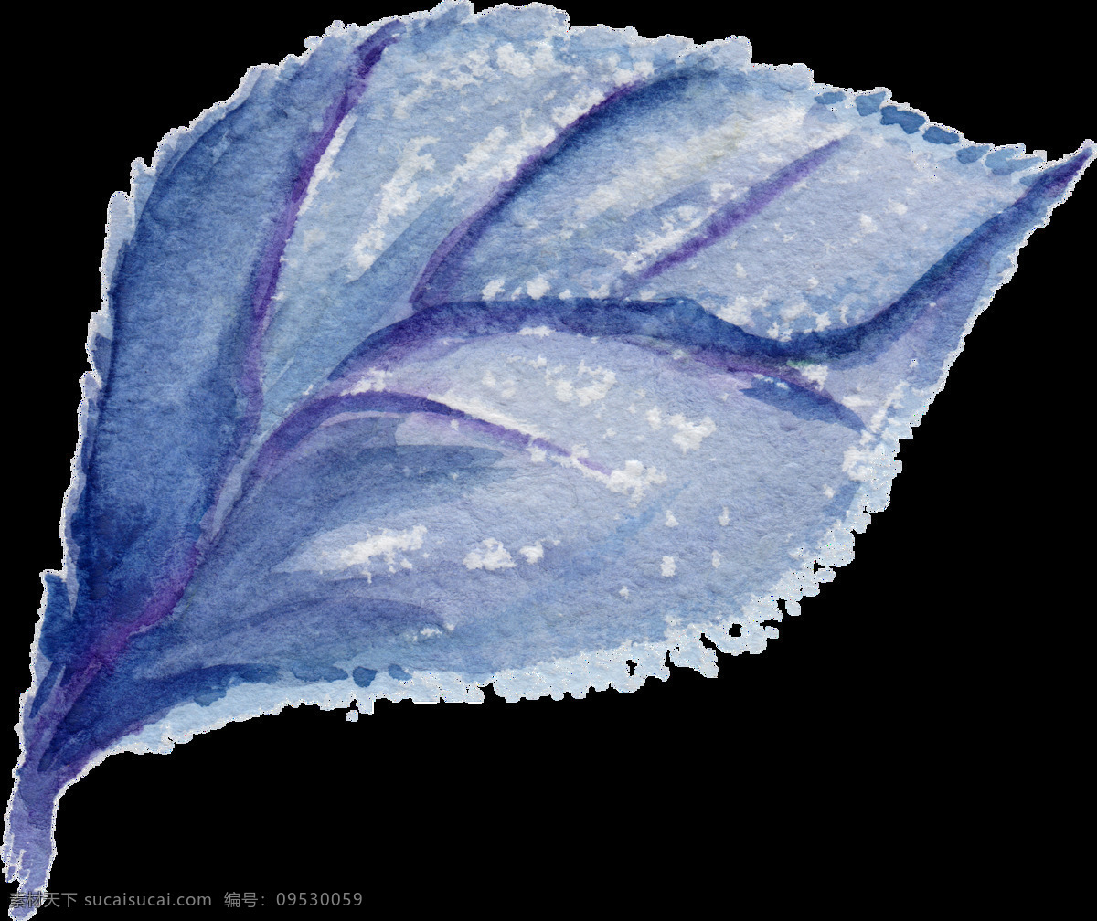 紫色 树叶 卡通 透明 创意 水彩 免扣 手绘 透明素材 装饰 设计素材 淘宝素材 海报设计装饰 装饰图案