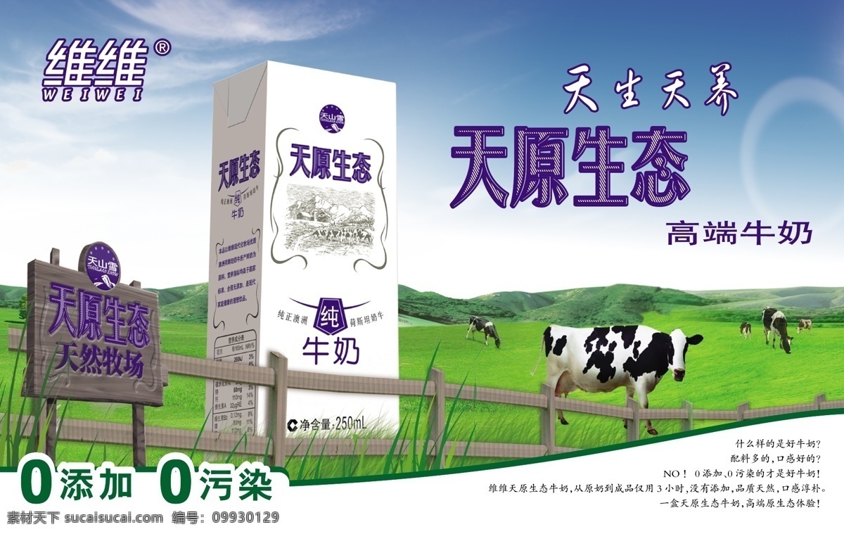 天原生态牛奶 维维 天原生态 牛奶 纯牛奶 草原 奶牛 牧场 广告 宣传 矢量