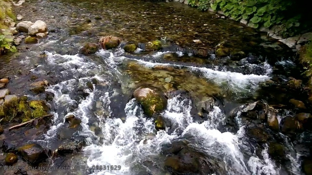 视频背景 实拍视频 视频 视频素材 视频模版 河流 小溪 河流视频 小溪视频