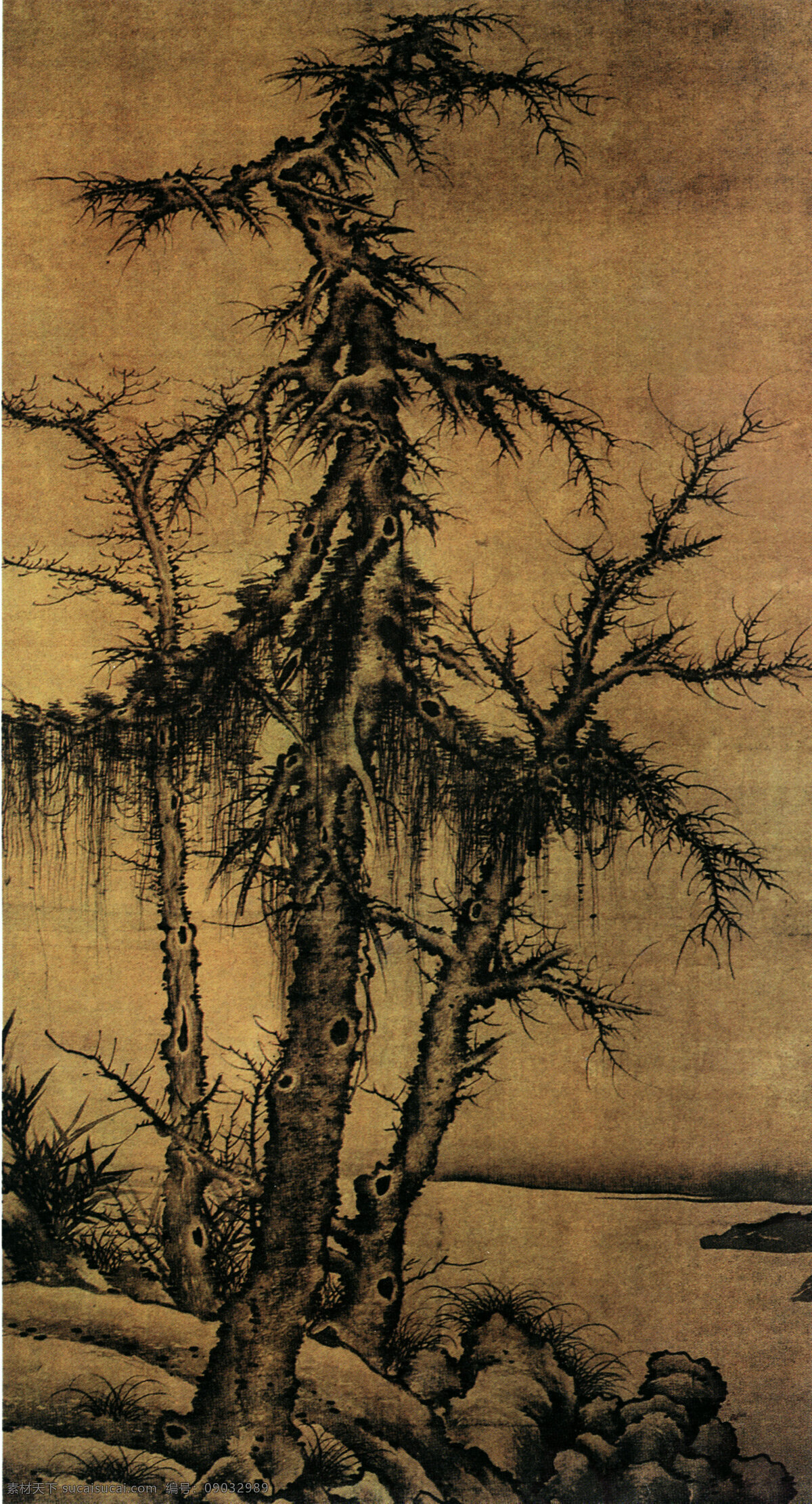 不 老松 古画 艺术 国画 名画 山水 水墨 不老松 中国传世名画 装饰素材 室内装饰用图