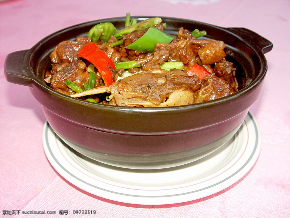 农家特色焖鹅 农家菜 焖鹅 美食 粤菜 广东菜 小炒 菜 餐饮美食 中国菜 高清美食图 摄影图库