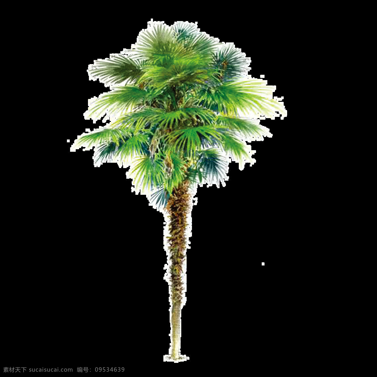唯美 高清 手绘 油画 风格 棕榈树