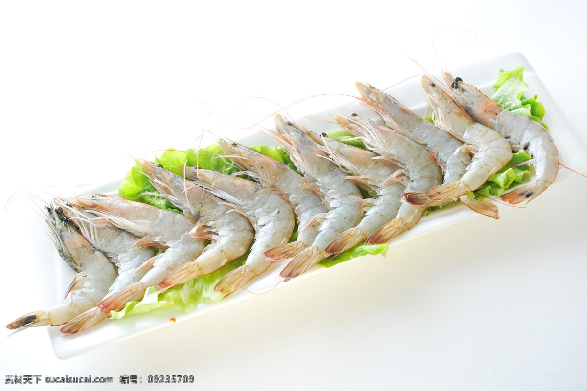 海鲜 基围虾 精品大虾 大虾拼盘 油焖大虾 餐饮美食 传统美食